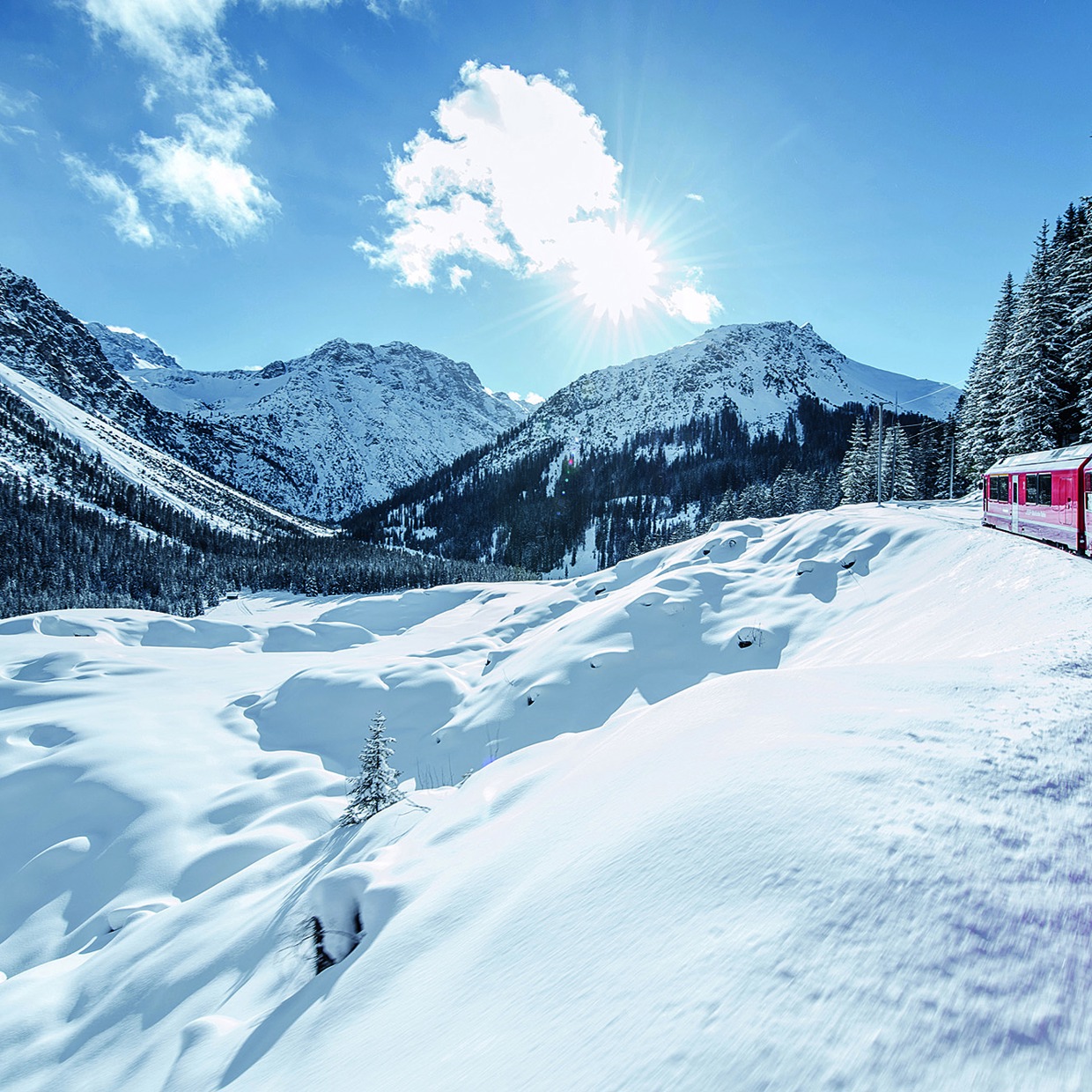 Un treno della Ferrovia retica tra sole e neve